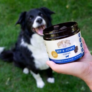 Hemp Well Hip and Joint Soft Chews – Best Joint Supplement for Dogs, Organically Sourced with Hemp, Glucosamine, Chondroitin and Breed Dogs, 30 Count - Image 6