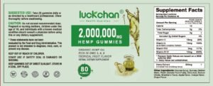 (4 Packs) Hemp Gummies High Potency - Pure Extra Strength Organic Hemp Oil Gummies - 100% Natural Bear Hemp Gummy for Adults - Image 8