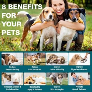 2 Packs - Pet Hemp Oil for Dogs and Cats - Anxiety, Stress Pain Holistic Inflammation Relief - for Joint Hip Arthritis, Calming Oil Drop - Organic Pets Treats - Image 2