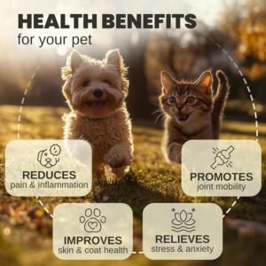 Hemp Oil for Dogs and Cats - Helps with Anxiety, Pain, Stress, Sleep, Arthritis, Seizures Relief - Hip and Joint Support - Calming Drops - Image 2