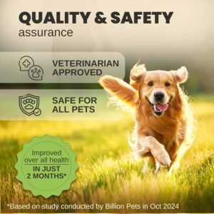 Hemp Oil for Dogs and Cats - Helps with Anxiety, Pain, Stress, Sleep, Arthritis, Seizures Relief - Hip and Joint Support - Calming Drops - Image 8