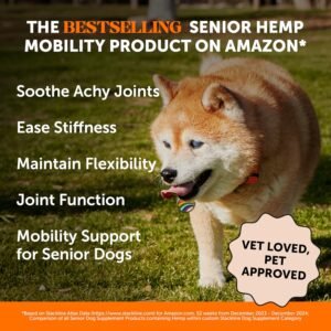 Pet Honesty Senior Hemp Hip & Joint Supplement for Dogs - Dog Joint Supplement with Hemp Oil & Powder, Glucosamine, Collagen, MSM & Green Lipped Mussel - Mobility for Senior Dogs (Chicken 90) - Image 2
