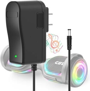 CBD 42V AC/DC CBD Adapter Charger-1 Prong Adapter Compatible with CBD - Support Input 100-240V/AC