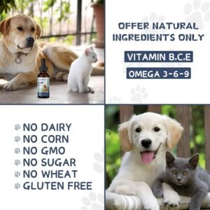 (2 Pack) Hemp Oil for Dogs and Cats - Helps Pets with Anxiety Pain Stress Sleep Arthritis, Seizures Relief Joint Support - Hemp Oil Drops - Calming Treats - Image 5