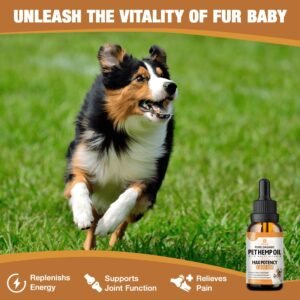 Hemp Oil for Dogs & Cats, Help Anxiety Strees, Hip & Joint Pain Relief, Relax Sleep, Organic Pet Calming Drops (2 Pack) - Image 3