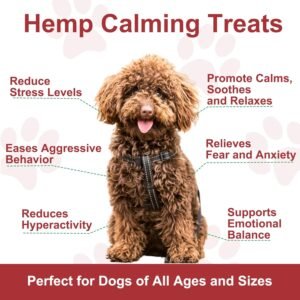Hemp Calming Chews for Dogs, Dog Anxiety Relief Calming Treats 100% Natural Ingredients Calming Treats for Dog, Aid with Barking, Thunderstorms, Separation, 120 Count, Chicken Flavor - Image 5