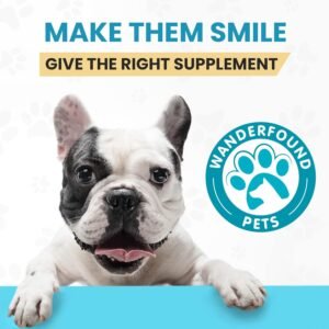 Wanderfound Pets - Hemp Oil for Dogs & Cats 5000mg - Anti-Separation Anxiety, Joint Pain, Stress Relief, Arthritis, Seizures, Chronic Pain Relief, Anti-Inflammatory - Omega 3, 6, 9-100% Organic - Image 6