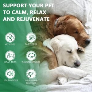 2 Pack Hemp Oil for Dogs and Cats - Anxiety Stress Sleep Allergies Arthritis Seizures Pain Relief - Promotes Skin Hip Joint Health - Calming Drops for Aggressive Pets - Image 6