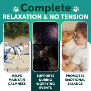 Hemp Calming Chews for Dogs - Dog Calming Chews - Dog Anxiety Relief Treats with Hemp Oil, Turmeric, Valerian, Ginger - Health and Wellness Supplements for Dogs - Hip and Joint Support - 120 Treats - Image 2
