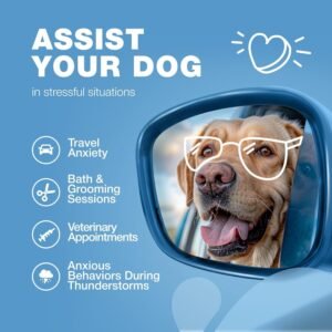 Hemp Calming Chews for Dogs Anxiety - Dog Calming Treats with Melatonin, Valerian Root, Chamomile Extract & Vitamin B Complex - Canine Chews for Vet Visits, Grooming, Travel, Thunderstorms, Fireworks - Image 4