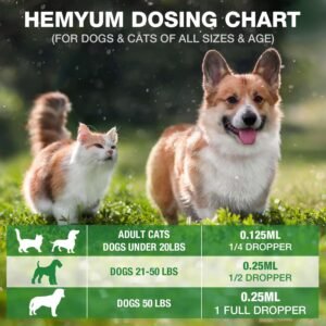 Pet Hemp Oil for Dogs and Cats - Organic Hemp Extract Drops for Sleep Aid Anxiety, Stress, Hip & Joint Pain Relief, Dog Calming Treats Rich in Omega 3-6-9 - Natural Pet Hemp Oil (3 Pack) - Image 7