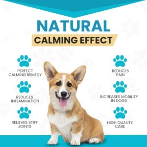Wanderfound Pets - Hemp Oil for Dogs & Cats 5000mg - Anti-Separation Anxiety, Joint Pain, Stress Relief, Arthritis, Seizures, Chronic Pain Relief, Anti-Inflammatory - Omega 3, 6, 9-100% Organic - Image 3