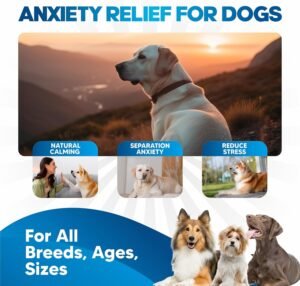 Dog Anxiety Relief - Faster Absorption Than Hemp Calming Chews for Dogs - Dog Calming Chews Alternative - Hemp Oil and Melatonin for Dogs - Liquid Dog Calming Treats for Thunder, Fireworks, Sleep Aid - Image 2