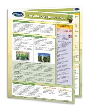 CBD Educational Charts - 8 Chart Bundle - Quick Reference Guides - Cannabinoid Educational Series by Permacharts - Image 7