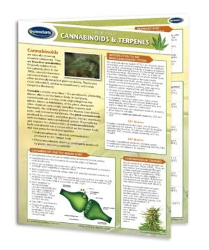 CBD Educational Charts - 8 Chart Bundle - Quick Reference Guides - Cannabinoid Educational Series by Permacharts - Image 2