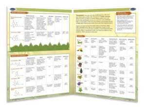 CBD Educational Charts - 8 Chart Bundle - Quick Reference Guides - Cannabinoid Educational Series by Permacharts - Image 3