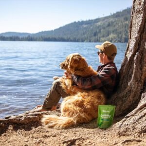 Zesty Paws OraStix for Dogs - Calming Dental Sticks for Stress with Hemp Melatonin Chamomile Dog Healthy Teeth and Gums Calm Composure for Fireworks and Thunderstorms - 12oz - Image 8