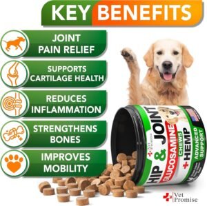 Vet Promise Hemp Hip and Joint Support Supplement for Dogs - Glucosamine for Dogs - Hemp Oil, MSM, Chondroitin - Support for Joint Pain Relief and Health - 120 Soft Chews - Made in USA - Image 2